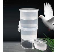 Distributore automatico di acqua per uccelli Versatile per gli amanti delle