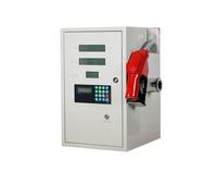 Distributore di carburante e 12V24V220, Distributore di carburante automatico for la misurazione e la determinazione dei prezzi del computer, Distributore di carburante for veicoli(Large flow)