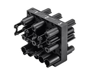 DISTRIBUTORE DI CORRENTE BACHMANN Wieland Verteilerblock GST18 1E/1+6A, Nero
