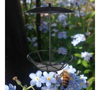 Distributore di Uccelli Uccelli Funzionali Sospesi per Le Donne in