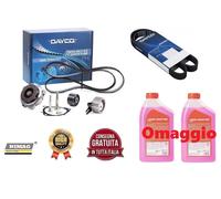 Distribuzione per FIAT DOBLO CARGO 263 1.6 Multijet 77 Kw + pompa + poly-v