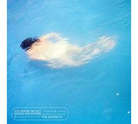The Districts You Know I'm Not Going Anywhere (Vinyl LP) 12" Album