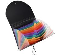 Disttocate Organizer per documenti da ufficio in PP pacchetto di file da appendere con corda con patta per organo, 13 tasche, cartella espandibile con borsa a rete ed etichetta colorata, organizer per