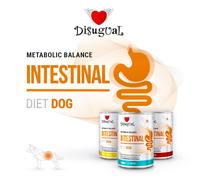 DISUGUAL Cane Diet Intestinal Manzo 400 gr