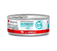 DISUGUAL GATTO DIET RECOVERY AGNELLO 85 GR