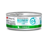 DISUGUAL DIET CAT RECOVERY CONIGLIO 85 GR.