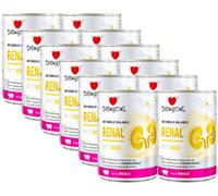 DISUGUAL Kit Risparmio 12x400G Disigual Diet Dog RENAL MAIALE
