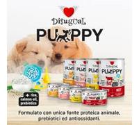 disugual umido PUPPY scatolette per cuccioli da 400 gr : 36 pezzi mix 4 gusti