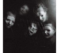 Ditz The Great Regression (Vinyl LP)
