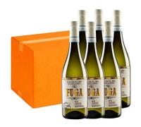 Diubaldo Fuga Trebbiano dAbruzzo DOC - 6 Bottiglie