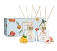 DIUFJAG Profumo per Ambienti,2 x 100ml,Arancia/Pesca,Orange Peach con 10 Bastoncini Profumati Aromaterapia,Diffusore per la casa,Reed Diffuser per Camera da Letto,Ufficio,Bagno,Scaffale
