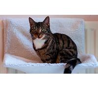 DIVCHI Letto per radiatore per gatti, amaca in caldo pile con copertura lavabile, letti per termosifone da interni, per gatti e gatti (44 x 29 x 23 cm) (letto per radiatore per animali domestici