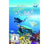 Dive Sites In Egypt