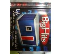 Diverse BigHits aus dem Container (CD)