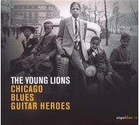 Diverse Blues - Chicago Blues Guitar Heroes