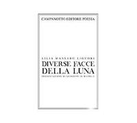 Diverse facce della luna