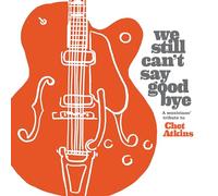 Various Artists We still can't say goodbye: A musician (CD) (PRESALE 05/07/2024)