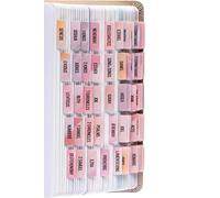 DiverseBee Tabs della Bibbia laminati (stampa grande, facile da leggere), forniture per diari biblici, schede per libri biblici, regalo cristiano, 66 schede bibliche antico e nuovo testamento, include