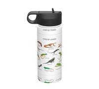 Diversi tipi di lucertola che stampa la stampa 18oz bollitore isolato sportivo in acciaio inossidabile con coperchio per uomini adulti donne