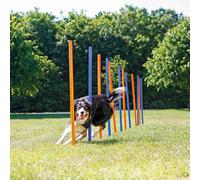 Divertente Agility Slalom ø 3 × 115 cm blu/arancio