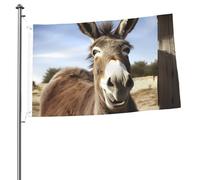 Divertente bandiera a forma di asino, 0,6 x 0,9 m, stampa su entrambi i lati, bandiere da giardino, bandiera da cortile per esterni, bandiere per vacanze, banner regalo con occhielli, sfondo
