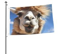 Divertente bandiera alpaca lama per esterni 0,6 x 0,9 m, bandiera stagionale da giardino con occhielli bandiera esterna per decorazioni per la casa sfondo fotografico