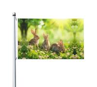 Divertente bandiera da giardino con conigli, 90 x 150 cm, resistente allo sbiadimento, per portico, balcone, prato, interni ed esterni, asta non inclusa