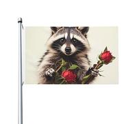 Divertente bandiera da giardino di benvenuto con procione, 90 x 150 cm, non sbiadisce, doppia faccia, per casa, cortile, cortile, portico, prato