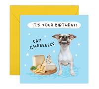 Divertente biglietto di auguri per compleanno, con formaggio, per lui, lei, amici, donne, uomini, colleghi, amanti dei cani, amanti del formaggio, ideale per gli amanti del cibo, fornito con adesivi