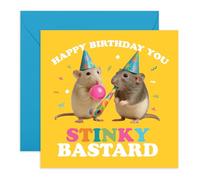 Divertente biglietto di compleanno con topo, "Happy Birthday You Stinky B*stard", biglietto divertente per amici, fratelli, fratelli, sorelle, fidanzati, mogli, marito, lui, lei, viene fornito con