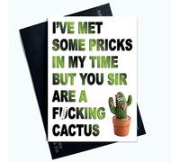 Divertente biglietto di compleanno divertente per amici e umoristi, carte scortese, cactus, colleghi, colleghi, colleghi, colleghi e compagni di compleanno, scherzo con alcuni punti, PC607