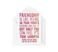 Divertente biglietto per migliore amico, Bestie Card, Friendship is Like Peeing in Your Pants, for Her Thankyou Birthday Thank You Friends Joke, CBH500