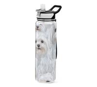 Divertente borraccia sportiva con cani maltesi, design bianco, per diario, portatile, lavoro, patio, ufficio, casa