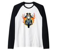 Divertente Bovaro del Bernese Che cavalca Un Mountain Dog in Maglia con Maniche Raglan