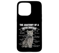 Divertente British Shorthair Gatto Mamma Papà Miao Custodia per iPhone 15 Pro Max
