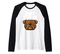Divertente Bulldog Grumpy Dog antisociale Non Parlare con Me Maglia con Maniche Raglan
