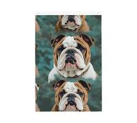 Divertente Bulldog inglese Benvenuto Giardino Bandiera 2x3 Ft No Fade Double Sided Casa Yard Bandiere Outdoor Banner Decor Per Cortile Portico Prato