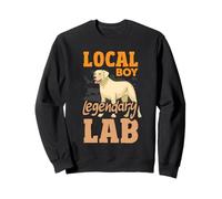 Divertente Cane Labrador Ragazzo Locale Anatra Caccia Felpa