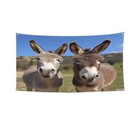 Divertente cappello da strega con stampa di asini, copertura completa, per festival, feste e feste in tessuto lavabile in lavatrice