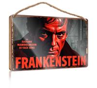Divertente cartello decorativo per la casa Frankenstein: un moderno cartello per porta per camera da letto adolescenti (20 x 30 cm)