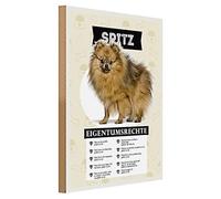 Divertente cartello in legno | Spitz | Diritti di proprietà | Amante dei cani | 30 cm x 40 cm
