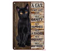 Divertente cartello in metallo con scritta in lingua inglese "Black Cat Lover A Cat is Not Just a Cat He is Sanity He is Happiness", decorazione per la casa, stile rustico, in alluminio, poster da