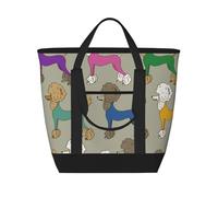 Divertente cartone animato barboncino colorato,Borsa porta pranzo grande capacità isolata per donne e uomini, lavoro, picnic, viaggi