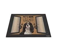 Divertente Cavalier King Charles Spaniel, Sono Io Quello Che Stai Cercando Zerbino Di Benvenuto Divertenti Tappeti D'Ingresso Antiscivolo Tappeto Ingresso Casa Per Balcone Terrazzo Interno 40X60Cm