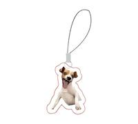 Divertente ciondolo per cellulare | Emoticon Telefono Cellulare | Emoticon Portatile Gatti Cani Emoticon Charm Per Borsa E Zaino Decorazione, Siehe Beschreibung, Acrilico, Vedi descrizione