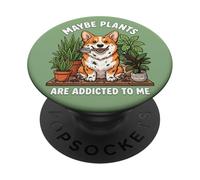 Divertente Corgi Forse le piante sono dipendenti da me cane PopSockets PopGrip Adesivo