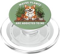 Divertente Corgi Forse le piante sono dipendenti da me cane PopSockets PopGrip per MagSafe