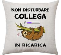 Divertente Cuscino Copricuscino per Collega - Regalo Di Compleanno, Pensionament