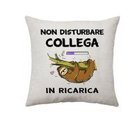 Divertente Cuscino Copricuscino per Collega - Regalo di Compleanno, Pensionamento, Addio - Decorazione per Ufficio 45 X 45 CM - Non Disturbare In Ricarica