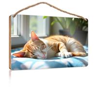 Divertente decorazione per il bagno con gatto che fa un pisolino alla luce del sole su una coperta blu, cartello in legno per la decorazione della casa, decorazione della piscina all'aperto (20 x 30